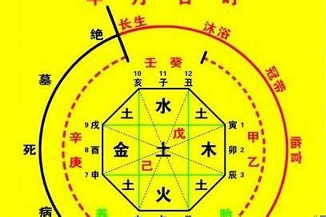 捉用神|八字用神详解之如何取用神（详细）